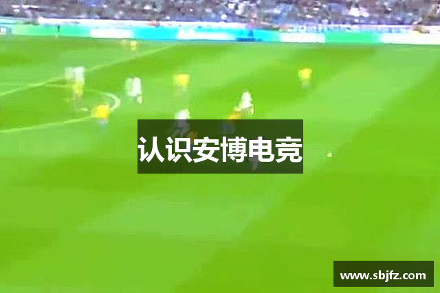 认识安博电竞